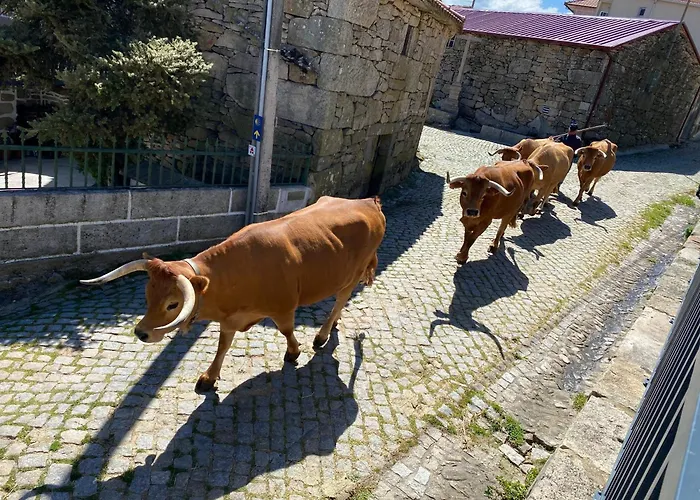 Ferienhaus Casa Dos Duques *